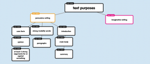 Organising ideas in popplet